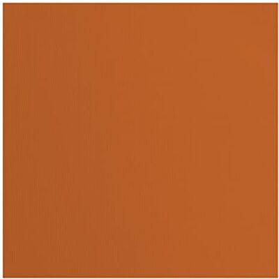 Creative Labs Florence Cardstock Textured Coloured Card Making Supplies 12 x 12 inch Brown 20 Sheets Coloured Paper for Scrapbooking, Card Making, Die Cutting and Paper Crafts 216 GSM Fox Creative Labs Florence Cardstock Textured Coloured Card Making Supplies 12 x 12 inch Brown 20 Sheets Coloured Paper for Scrapbooking, Card Making, Die Cutting and Paper Crafts 216 GSM Fox