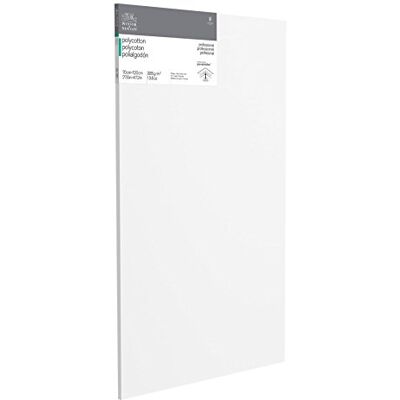 Winsor & Newton 6206035 Professional Stretcher Frame Made of Polycotton 385 g/m² Triple Primed Medium Grain Ideal for Oil and Acrylic Paints 70 x 120 cm Winsor & Newton 6206035 Professional Stretcher Frame Made of Polycotton 385 g/m² Triple Primed Medium Grain Ideal for Oil and Acrylic Paints 70 x 120 cm