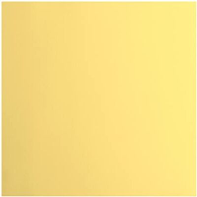 Creative Labs Florence Cardstock Smooth Coloured Card Making Supplies 12 x 12 inch Yellow 20 Sheets Coloured Paper for Scrapbooking, Card Making, Die Cutting and Paper Crafts 216 GSM Asparagus Creative Labs Florence Cardstock Smooth Coloured Card Making Supplies 12 x 12 inch Yellow 20 Sheets Coloured Paper for Scrapbooking, Card Making, Die Cutting and Paper Crafts 216 GSM Asparagus