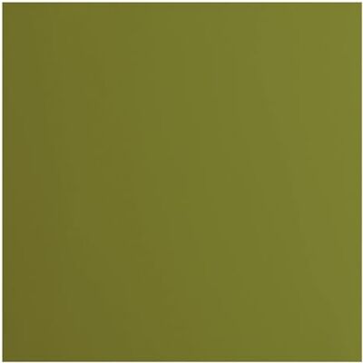 Creative Labs Florence Cardstock Smooth Coloured Card Making Supplies 12 x 12 inch Green 20 Sheets Coloured Paper for Scrapbooking, Card Making, Die Cutting and Paper Crafts 216 GSM Olive Creative Labs Florence Cardstock Smooth Coloured Card Making Supplies 12 x 12 inch Green 20 Sheets Coloured Paper for Scrapbooking, Card Making, Die Cutting and Paper Crafts 216 GSM Olive