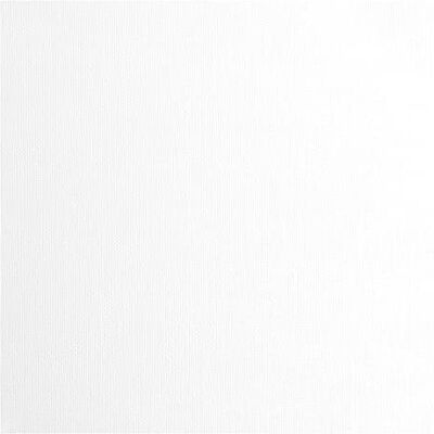 Creative Labs Florence Cardstock Textured Coloured Card Making Supplies 12 x 12 inch White 20 Sheets Coloured Paper for Scrapbooking, Card Making and Other Paper Crafts 216 GSM Creative Labs Florence Cardstock Textured Coloured Card Making Supplies 12 x 12 inch White 20 Sheets Coloured Paper for Scrapbooking, Card Making and Other Paper Crafts 216 GSM