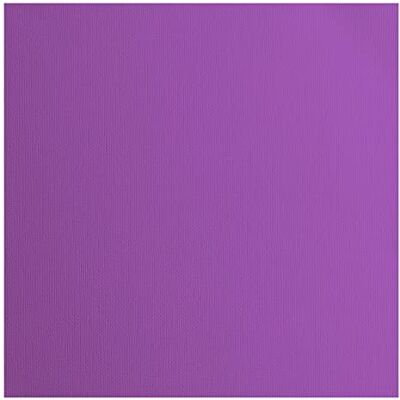 Creative Labs Florence Cardstock Textured Coloured Card Making Supplies 12 x 12 inch Purple 20 Sheets Coloured Paper for Scrapbooking, Card Making, Die Cutting and Paper Crafts 216 GSM Violet Creative Labs Florence Cardstock Textured Coloured Card Making Supplies 12 x 12 inch Purple 20 Sheets Coloured Paper for Scrapbooking, Card Making, Die Cutting and Paper Crafts 216 GSM Violet