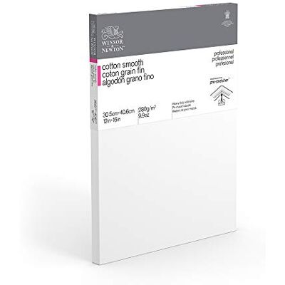 Winsor & Newton 12 x 16-Inch Professional Cotton Smooth Canvas (Pack of 1) Winsor & Newton 12 x 16-Inch Professional Cotton Smooth Canvas (Pack of 1)
