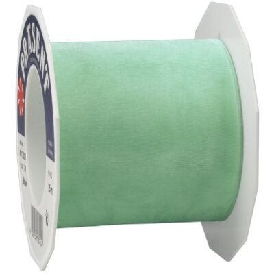 PRÄSENT C.E. Pattberg Sheer Organza Ribbon Mint Green, 27 Yards Gift Wrap Ribbon, 2.8 inches Width, Accessories for Decoration & Handicrafts, Decoration Ribbon for Presents, for Every Occasion PRÄSENT C.E. Pattberg Sheer Organza Ribbon Mint Green, 27 Yards Gift Wrap Ribbon, 2.8 inches Width, Accessories for Decoration & Handicrafts, Decoration Ribbon for Presents, for Every Occasion