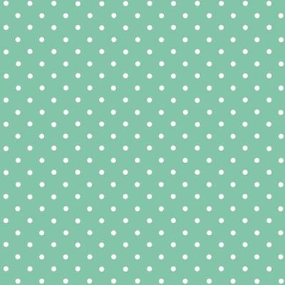 d-c-fix vinyl wrap Petersen mint patterned 45 cm x 2 m sticky back plastic roll for furniture, kitchen & cupboards contact paper sticker self adhesive film d-c-fix vinyl wrap Petersen mint patterned 45 cm x 2 m sticky back plastic roll for furniture, kitchen & cupboards contact paper sticker self adhesive film
