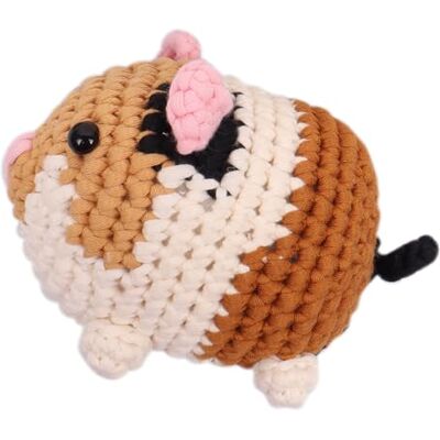 Trimits Amigurumi Crochet Guinea Pig Kit for Beginners with Yarn, Crochet Hook, Stitch Markers, Needle, Eyes, Filling, Magic Ring, Test Swatch and Instructions Ideal Starter kit for Crochet. Trimits Amigurumi Crochet Guinea Pig Kit for Beginners with Yarn, Crochet Hook, Stitch Markers, Needle, Eyes, Filling, Magic Ring, Test Swatch and Instructions Ideal Starter kit for Crochet.