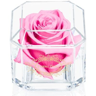 Eternal Petals 100% Real Rose That Lasts A Year Single Pink Rose in Box Unique Birthday Gift Eternal Petals 100% Real Rose That Lasts A Year Single Pink Rose in Box Unique Birthday Gift