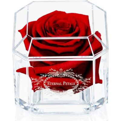 Eternal Petals A 100% Real Rose That Lasts Years, Handmade in London, Flowers Delivery Next Day Prime UK – White Gold Solo (Deep Red) Eternal Petals A 100% Real Rose That Lasts Years, Handmade in London, Flowers Delivery Next Day Prime UK – White Gold Solo (Deep Red)
