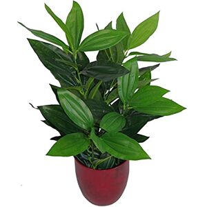 Leaf Design UK Artificial Foliage Plant - 70cm Green Unisex Leaf Design UK Artificial Foliage Plant - 70cm Green Unisex