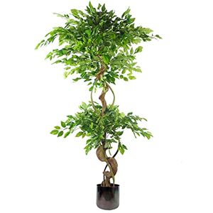 Leaf 150cm Twisted Trunk Artificial Ruscus Fruticosa Ficus Tree Rainbow Planter green - Artificial Tree Leaf 150cm Twisted Trunk Artificial Ruscus Fruticosa Ficus Tree Rainbow Planter green - Artificial Tree