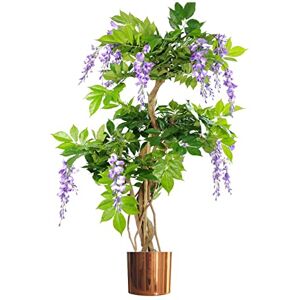 Botanik UK - Purple Wisteria Tree Botanik UK - Purple Wisteria Tree