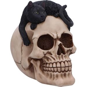 Nemesis Now - Forever Friend Cat On Skull - Black/bone - Figurine Nemesis Now - Forever Friend Cat On Skull - Black/bone - Figurine