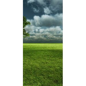 PeelitStickit , Beautiful Nature Wall Murals, ID-1974, vinyl PeelitStickit , Beautiful Nature Wall Murals, ID-1974, vinyl