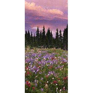 PeelitStickit , Beautiful Nature Wall Murals, ID-1320, vinyl PeelitStickit , Beautiful Nature Wall Murals, ID-1320, vinyl