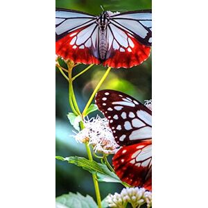 PeelitStickit Butterfly, Beautiful Nature Wall Murals, ID-3260, vinyl PeelitStickit Butterfly, Beautiful Nature Wall Murals, ID-3260, vinyl
