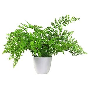 Leaf 30cm Artificial Potted Royal Fern - Artificial Fern Plant Leaf 30cm Artificial Potted Royal Fern - Artificial Fern Plant