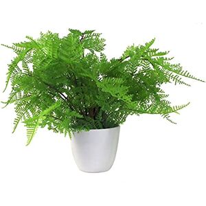 Leaf 30cm Artificial Potted Lady Fern - Artificial Fern Plant Leaf 30cm Artificial Potted Lady Fern - Artificial Fern Plant