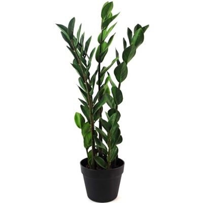 Leaf 75cm Artificial Zanzibar Green Gem Zamioculcas Succulent Indoor Plant - Artificial Indoor Plant Leaf 75cm Artificial Zanzibar Green Gem Zamioculcas Succulent Indoor Plant - Artificial Indoor Plant