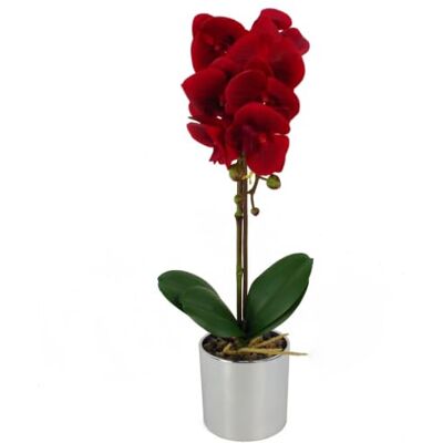 Leaf Red Artificial Orchid - 46cm - Unisex Leaf Red Artificial Orchid - 46cm - Unisex