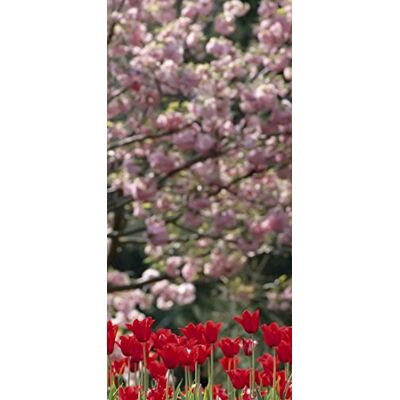 PeelitStickit , Beautiful Nature Wall Murals, ID-1245, vinyl PeelitStickit , Beautiful Nature Wall Murals, ID-1245, vinyl