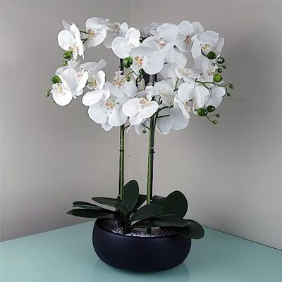 Leaf Design UK - 60cm Orchid White - Black Ceramic Planter Leaf Design UK - 60cm Orchid White - Black Ceramic Planter