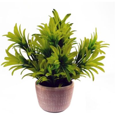 Leaf 22cm Honey Plant Light Green - Plant Leaf 22cm Honey Plant Light Green - Plant