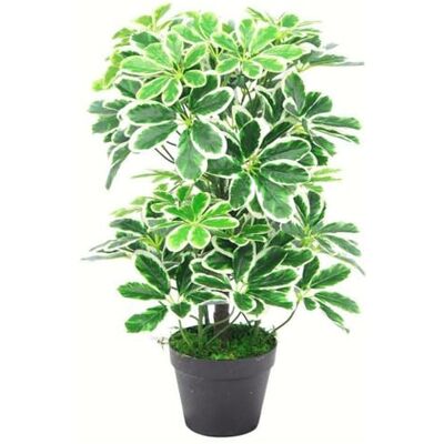 Leaf Design UK Artificial Schefflera Arboricola Plant - 55cm Green Leaf Design UK Artificial Schefflera Arboricola Plant - 55cm Green