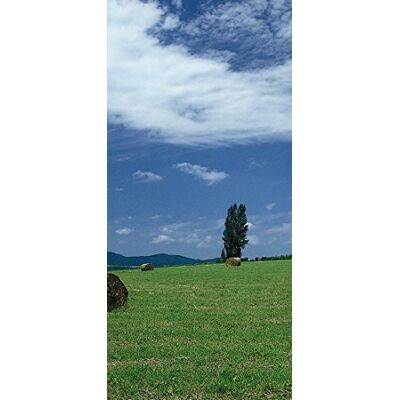 PeelitStickit , Beautiful Nature Wall Murals, ID-0895, vinyl PeelitStickit , Beautiful Nature Wall Murals, ID-0895, vinyl
