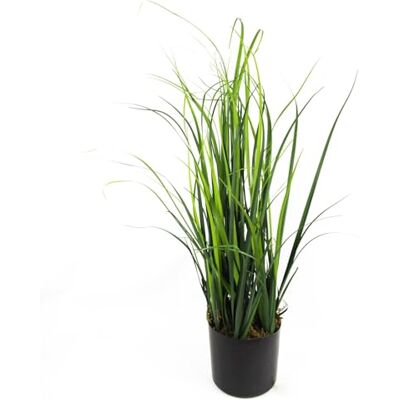 Leaf Design UK - Lemongrass 60cm - Artificial Plant Leaf Design UK - Lemongrass 60cm - Artificial Plant