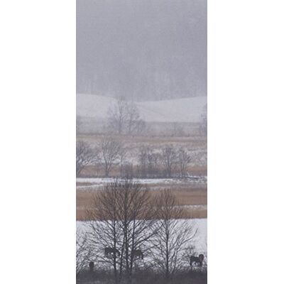 PeelitStickit , Beautiful Nature Wall Murals, ID-0526, vinyl PeelitStickit , Beautiful Nature Wall Murals, ID-0526, vinyl