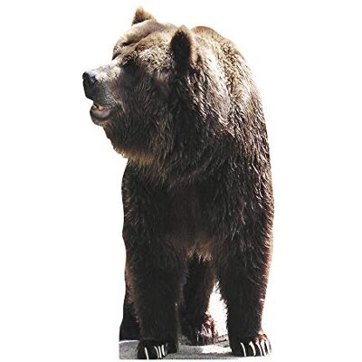 Iconicgreats Grizzly Bear Lifesize Cardboard Cutout - 165cm Tall Iconicgreats Grizzly Bear Lifesize Cardboard Cutout - 165cm Tall