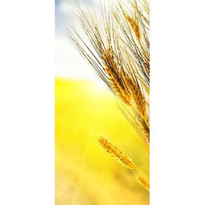 PeelitStickit , Beautiful Nature Wall Murals, ID-083, vinyl PeelitStickit , Beautiful Nature Wall Murals, ID-083, vinyl