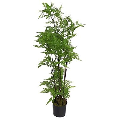 Leaf Design UK - Fern - 150cm - Moss Base - Artificial plant Leaf Design UK - Fern - 150cm - Moss Base - Artificial plant