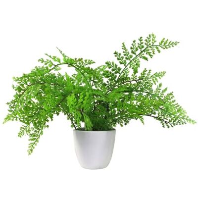 Leaf 30cm Artificial Potted Royal Fern - Artificial Fern Plant Leaf 30cm Artificial Potted Royal Fern - Artificial Fern Plant
