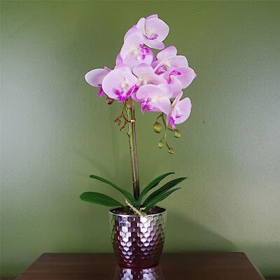Leaf 50cm Artificial Orchid - Light Pink - Unisex - Artificial Orchid Leaf 50cm Artificial Orchid - Light Pink - Unisex - Artificial Orchid