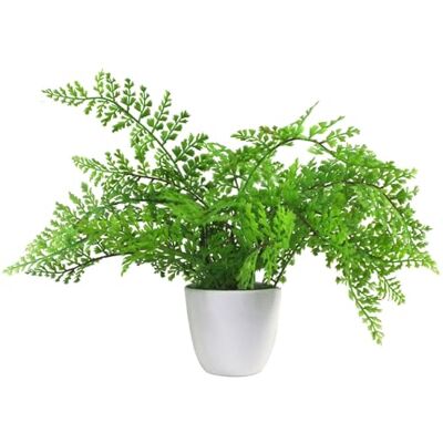 Leaf 30cm Artificial Potted Royal Fern - Artificial plant Leaf 30cm Artificial Potted Royal Fern - Artificial plant