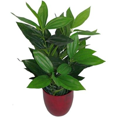 Leaf Design UK Artificial Foliage Plant - 70cm Green Unisex Leaf Design UK Artificial Foliage Plant - 70cm Green Unisex