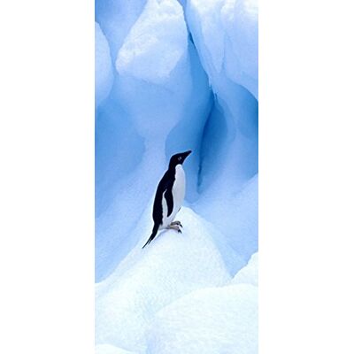 PeelitStickit Penguin, Animal Wall Murals ID-030, vinyl PeelitStickit Penguin, Animal Wall Murals ID-030, vinyl