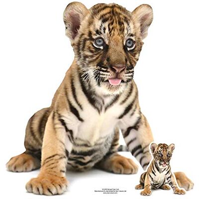 Iconicgreats Bengal Tiger Cub Lifesize - Cute Animal Wildlife Iconicgreats Bengal Tiger Cub Lifesize - Cute Animal Wildlife