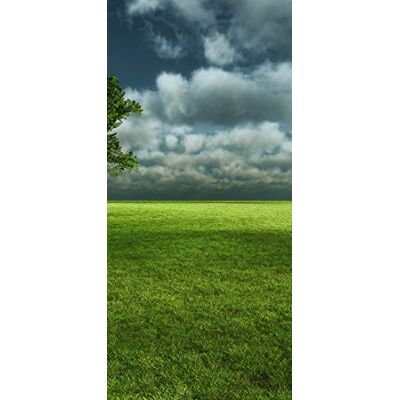PeelitStickit , Beautiful Nature Wall Murals, ID-1974, vinyl PeelitStickit , Beautiful Nature Wall Murals, ID-1974, vinyl