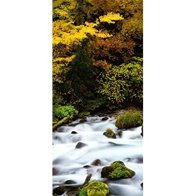 PeelitStickit , Beautiful Nature Wall Murals, ID-3365, vinyl PeelitStickit , Beautiful Nature Wall Murals, ID-3365, vinyl