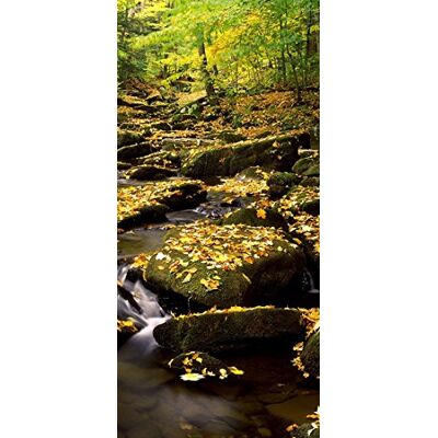 PeelitStickit , Beautiful Nature Wall Murals, ID-0393, vinyl PeelitStickit , Beautiful Nature Wall Murals, ID-0393, vinyl