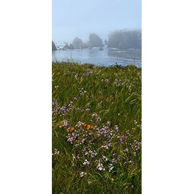 PeelitStickit , Beautiful Nature Wall Murals, ID-207, vinyl PeelitStickit , Beautiful Nature Wall Murals, ID-207, vinyl