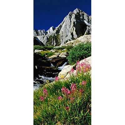 PeelitStickit , Beautiful Nature Wall Murals, ID-0263, vinyl PeelitStickit , Beautiful Nature Wall Murals, ID-0263, vinyl