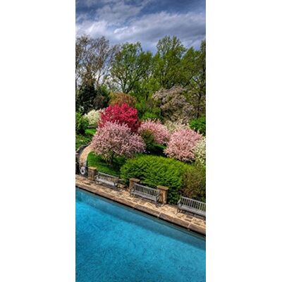 PeelitStickit , Beautiful Nature Wall Murals, ID-1768, vinyl PeelitStickit , Beautiful Nature Wall Murals, ID-1768, vinyl