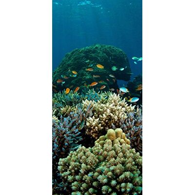PeelitStickit Sea, Beautiful Nature Wall Murals, ID-3339, vinyl PeelitStickit Sea, Beautiful Nature Wall Murals, ID-3339, vinyl