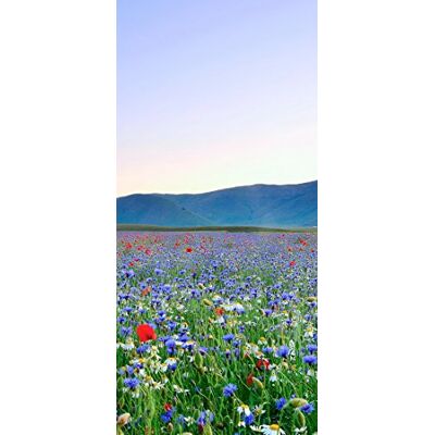 PeelitStickit , Beautiful Nature Wall Murals, ID-121, vinyl PeelitStickit , Beautiful Nature Wall Murals, ID-121, vinyl