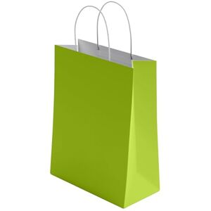 YUNJU 30 Pcs Small Green Paper Party Bags with Handles Colourful Paper Gift Bags for Kids Parties Weddings Birthdays Baby Showers Xmas and Sweets 18x22x8cm Kraft Bags YUNJU 30 Pcs Small Green Paper Party Bags with Handles Colourful Paper Gift Bags for Kids Parties Weddings Birthdays Baby Showers Xmas and Sweets 18x22x8cm Kraft Bags