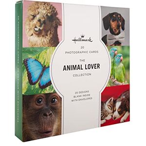 Hallmark Gallery Blank Cards Multipack of 20 in 20 Photographic Animal Designs Hallmark Gallery Blank Cards Multipack of 20 in 20 Photographic Animal Designs