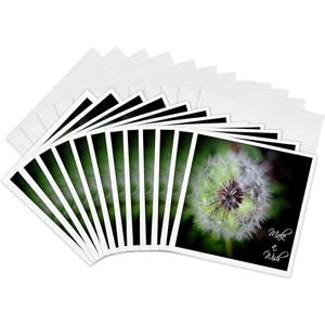 3dRose Make a Wish Dandelion Puff Ball Greeting Cards, 6 by 6-inches, Set of 12 (gc_30607_2) 3dRose Make a Wish Dandelion Puff Ball Greeting Cards, 6 by 6-inches, Set of 12 (gc_30607_2)